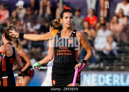 Amstelveen, Niederlande. 23. Juni 2023. AMSTELVEEN, NIEDERLANDE - JUNI 23: Frederique Matla der Niederlande Gesten während des FIH Hockey Pro League Frauenspiels zwischen den Niederlanden und Deutschland im Wagener Stadion am 23. Juni 2023 in Amstelveen, Niederlande (Foto von Rene Nijhuis/BSR-Agentur) Kredit: BSR-Agentur/Alamy Live News Stockfoto