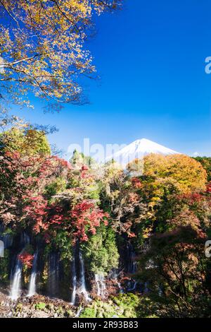 Die Shiraito Falls in Herbstfarbe mit Mt. Stockfoto