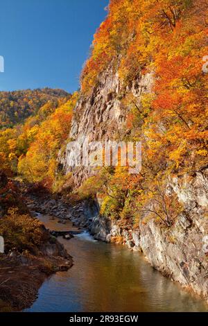 Jozankei im Herbstlaub Stockfoto