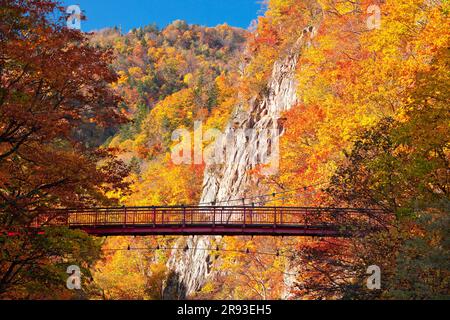 Jozankei im Herbstlaub Stockfoto