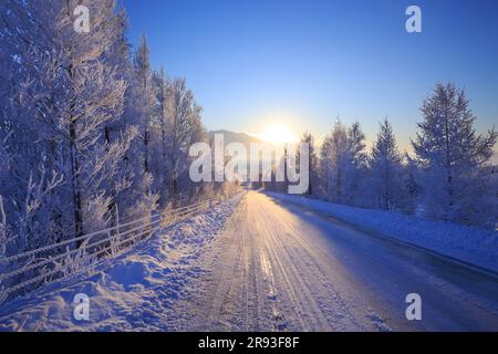 Morning sun and snowy road Stock Photo