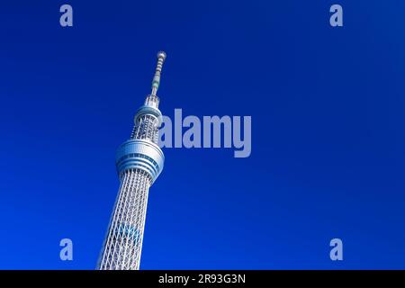 Tokyo Sky Tree unter dem blauen Himmel Stockfoto