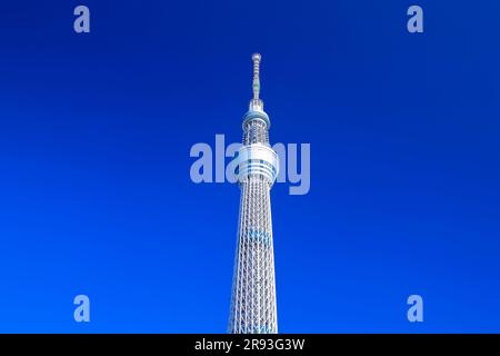 Tokyo Sky Tree unter dem blauen Himmel Stockfoto