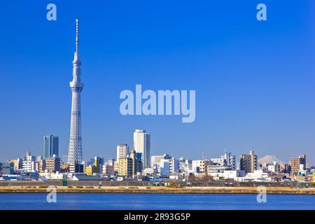 Tokio Himmelsbaum und Fuji Stockfoto