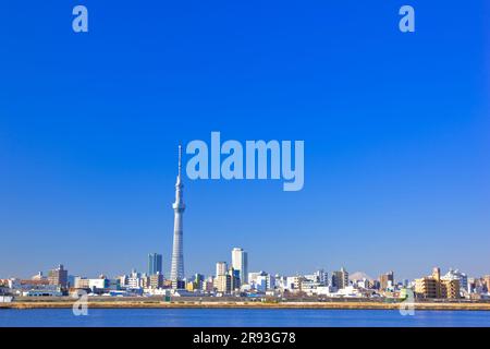 Tokio Himmelsbaum und Fuji Stockfoto