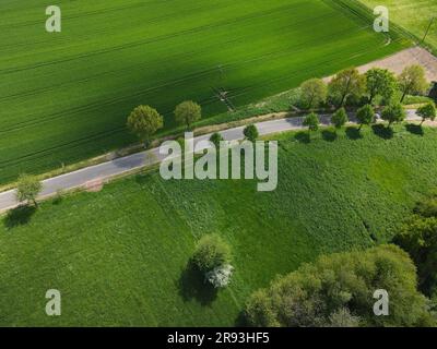 Luftaufnahme auf eine blühende Landschaft mit grünem Gras, wachsendem Weizenfeld und einer Straße zwischen Bäumen Stockfoto
