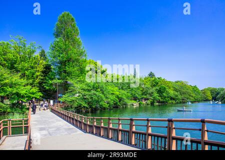Inokashira Park in frischem Grün Stockfoto