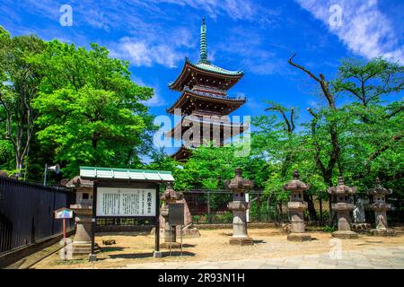 Fünfstöckige Pagode des ehemaligen Kan-eiji-Tempels Stockfoto