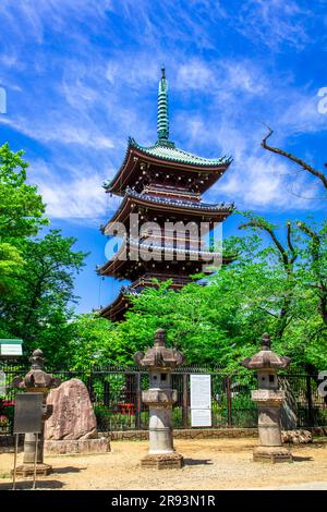 Fünfstöckige Pagode des ehemaligen Kan-eiji-Tempels Stockfoto