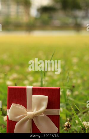 Verschiedene Geschenkboxen mit Sonnenlicht auf dem Rasen des Parks an einem sonnigen Sommertag Stockfoto