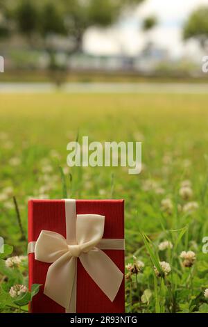 Verschiedene Geschenkboxen mit Sonnenlicht auf dem Rasen des Parks an einem sonnigen Sommertag Stockfoto