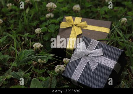 Verschiedene Geschenkboxen mit Sonnenlicht auf dem Rasen des Parks an einem sonnigen Sommertag Stockfoto