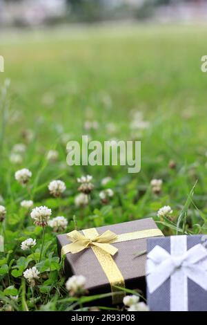 Verschiedene Geschenkboxen mit Sonnenlicht auf dem Rasen des Parks an einem sonnigen Sommertag Stockfoto