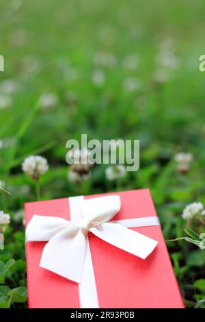 Verschiedene Geschenkboxen mit Sonnenlicht auf dem Rasen des Parks an einem sonnigen Sommertag Stockfoto