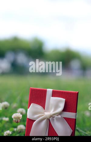 Verschiedene Geschenkboxen mit Sonnenlicht auf dem Rasen des Parks an einem sonnigen Sommertag Stockfoto