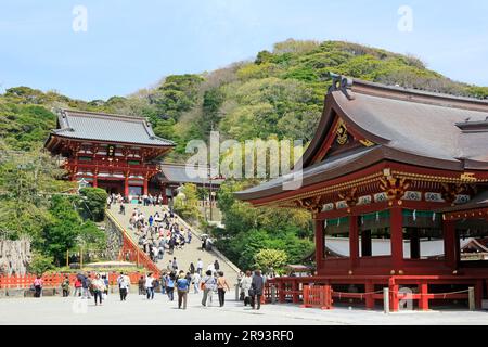 TsuruokaHachiman Stockfoto