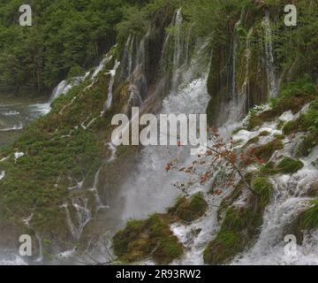 Die Satavci-Wasserfälle im Nationalpark Plitvicer, Kroatien. Stockfoto