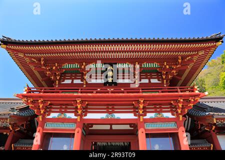 Hauptschrein des Tsuruoka-Hachimangu-Schreins Stockfoto