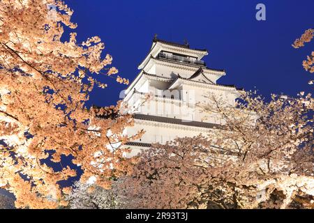 Schloss Tsurugajo und Kirschblüten bei Nacht Stockfoto