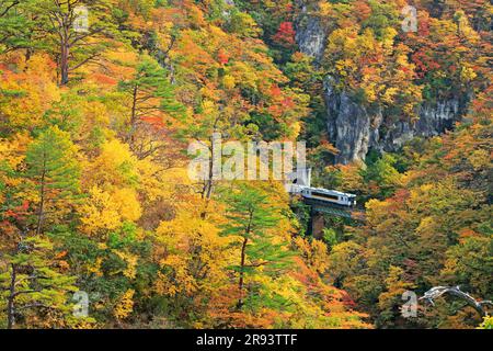 Naruko Gorge in Herbstfarben und Zügen der JR Rikuu East Line Stockfoto