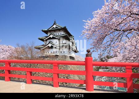 Schloss Hirosaki und Kirschblüten im Hirosaki Park Stockfoto