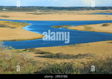 Kiritappu Feuchtgebiet im Herbst Stockfoto