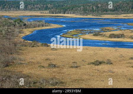 Kiritappu Feuchtgebiet im Herbst Stockfoto