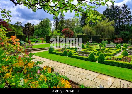 Eine farbenfrohe Ausstellung von Frühlingsblumen und Blättern im Parterre Garden im Kilver Court Garden, Shepton Mallet, Somerset, England, Großbritannien Stockfoto