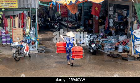 Eine Frau bringt Lebensmittel zum Verkauf auf einem Markt in der Provinz Phu Tho, Vietnam Stockfoto