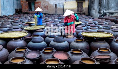 Traditionelle Sojasauzenfabrik, in der Sojabohnen zur Herstellung der Sojasoße fermentiert werden, die in Vietnam in einer Sojasauzenfabrik in Hun zum Kochen verwendet wird Stockfoto