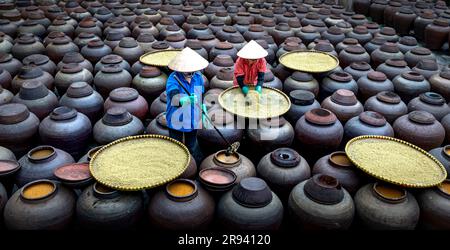 Traditionelle Sojasauzenfabrik, in der Sojabohnen zur Herstellung der Sojasoße fermentiert werden, die in Vietnam in einer Sojasauzenfabrik in Hun zum Kochen verwendet wird Stockfoto