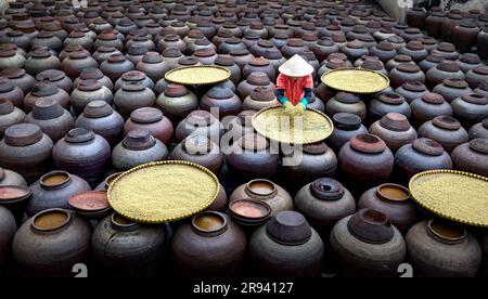 Traditionelle Sojasauzenfabrik, in der Sojabohnen zur Herstellung der Sojasoße fermentiert werden, die in Vietnam in einer Sojasauzenfabrik in Hun zum Kochen verwendet wird Stockfoto