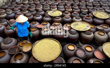 Traditionelle Sojasauzenfabrik, in der Sojabohnen zur Herstellung der Sojasoße fermentiert werden, die in Vietnam in einer Sojasauzenfabrik in Hun zum Kochen verwendet wird Stockfoto