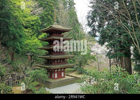 Fünfstöckige Pagode des Muroji-Tempels Stockfoto