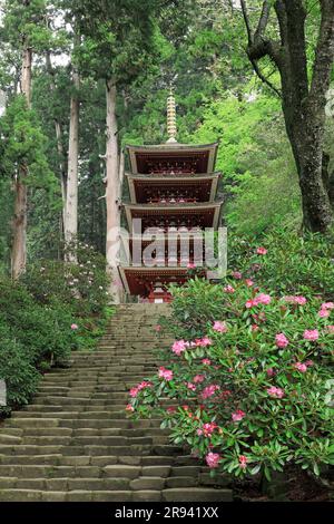 Fünfstöckige Pagode und Rhododendrons im Muroji-Tempel Stockfoto