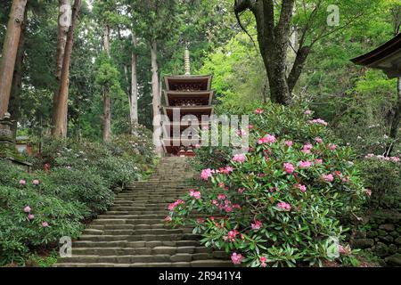 Fünfstöckige Pagode und Rhododendrons im Muroji-Tempel Stockfoto
