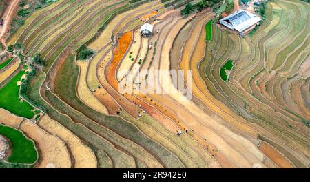 Terrassenförmige Felder während der Bewässerungssaison in De Xu Phinh, Mu Cang Chai, Yen Bai, Vietnam Stockfoto