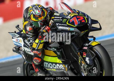 ASSEN – Marco Bezzecchi (ITA) auf seiner Ducati während der MotoGP Qualifizierung am 24. Juni 2023 auf der TT-Strecke in Assen, Niederlande. ANP VINCENT JANNINK Stockfoto
