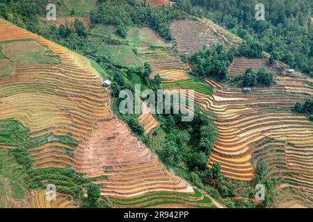 Terrassenförmige Felder während der Bewässerungssaison in De Xu Phinh, Mu Cang Chai, Yen Bai, Vietnam Stockfoto