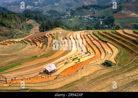 Terrassenförmige Felder während der Bewässerungssaison in De Xu Phinh, Mu Cang Chai, Yen Bai, Vietnam Stockfoto