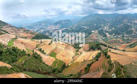 Terrassenförmige Felder während der Bewässerungssaison in De Xu Phinh, Mu Cang Chai, Yen Bai, Vietnam Stockfoto