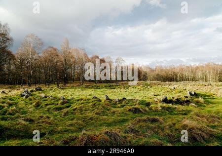 New Kinord prähistorische Siedlung aus der Eisenzeit, Hauskreis 2000 bis 2500 Jahre alt. Zwischen Loch Kinord und Loch Davan, Grampian, Schottland Stockfoto