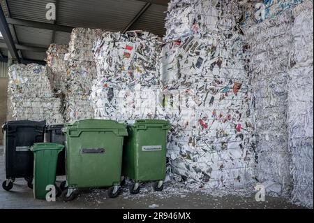 Gestapelte Verpackungen von geschreddertem Altpapier für Recycling und Abfalleimer in der Schweiz. Umweltschutz. Stockfoto