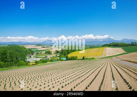 Shikisainooka Hill und Tokachidakerenpo Mountain Range Stockfoto