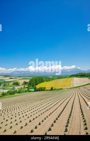 Shikisainooka Hill und Tokachidakerenpo Mountain Range Stockfoto