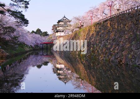 Kirschblüten im Hirosaki Park und im Schloss Hirosaki Stockfoto