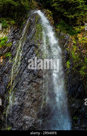 Queureuilh Wasserfall in der Nähe von Le Mont Dore, Auvergne, Puy-de-Dome, Auvergne Rhône-Alpes, Frankreich Stockfoto