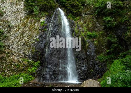 Queureuilh Wasserfall in der Nähe von Le Mont Dore, Auvergne, Puy-de-Dome, Auvergne Rhône-Alpes, Frankreich Stockfoto