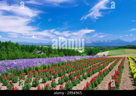 Shikisainooka Hill und Tokachidakerenpo Mountain Range Stockfoto