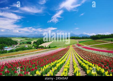 Shikisainooka Hill und Tokachidakerenpo Mountain Range Stockfoto